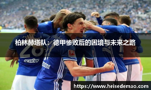 678体育手机最新版本