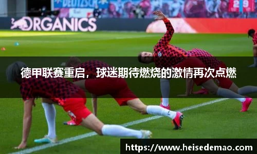 678体育手机最新版本